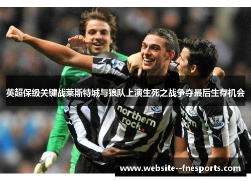 英超保级关键战莱斯特城与狼队上演生死之战争夺最后生存机会