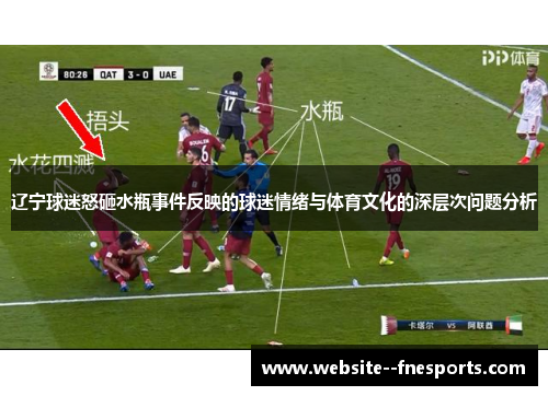 辽宁球迷怒砸水瓶事件反映的球迷情绪与体育文化的深层次问题分析 辽宁球迷怒砸水瓶事件反映的球迷情绪与体育文化的深层次问题分析