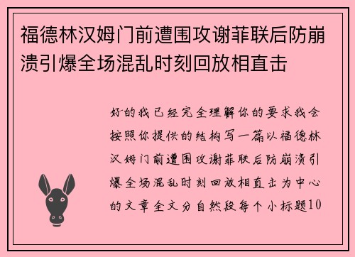 福德林汉姆门前遭围攻谢菲联后防崩溃引爆全场混乱时刻回放相直击